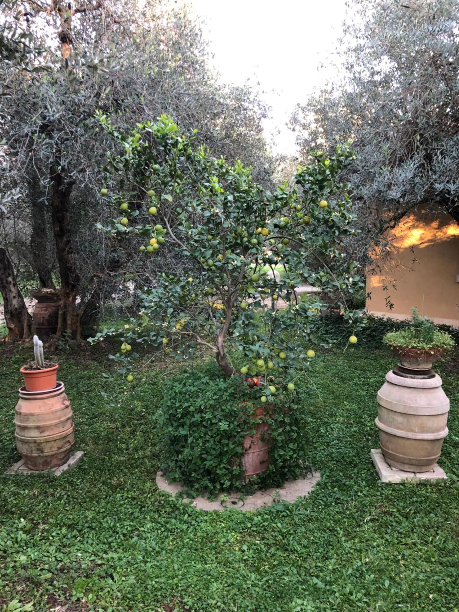 Agriturismo La Canonica 曼恰诺 外观 照片